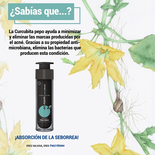 crema para el acne frezyderm ac norm seb adsorb